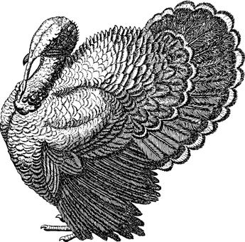 pic_058.png